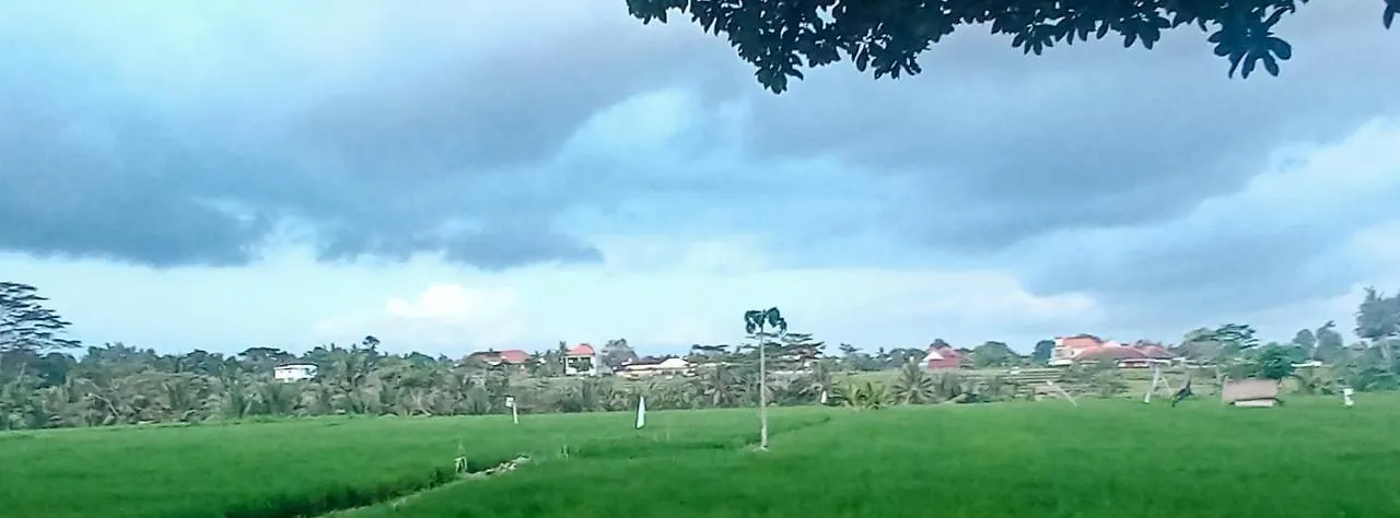 Homestay D' Tegal House Apartment Ubud