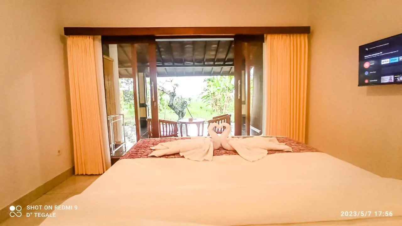 D' Tegal House Apartment Ubud  Homestay Ubud (Bali)