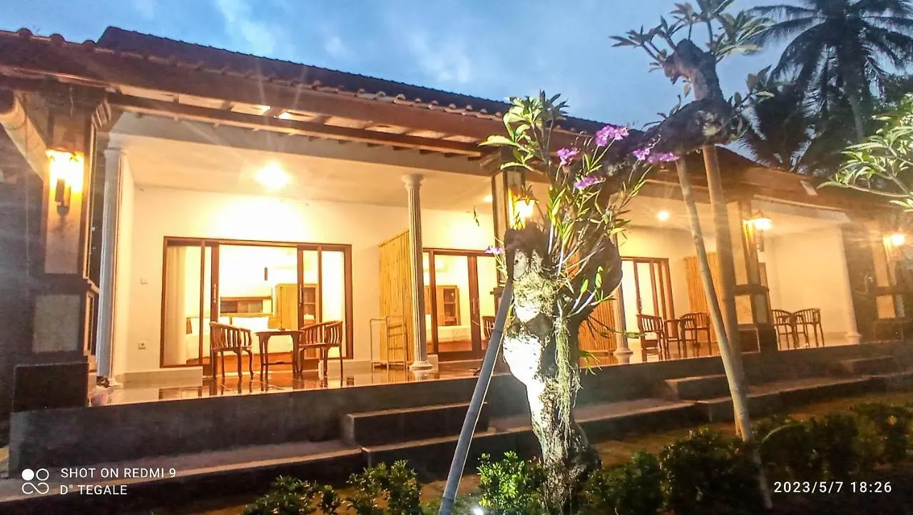 Homestay D' Tegal House Apartment Ubud
