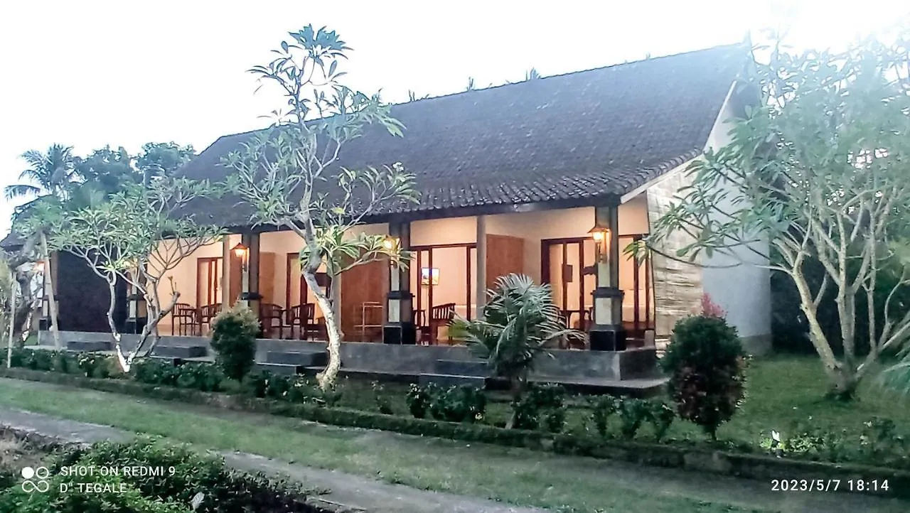 D' Tegal House Apartment Ubud